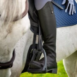 Shires Moretta Women's Gianna Leather Field Boots - Black -Tackof The Day Shop 1007497 800 800