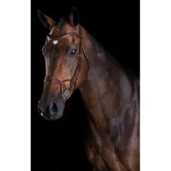 Collegiate Comfitec Training Bridle - Brown