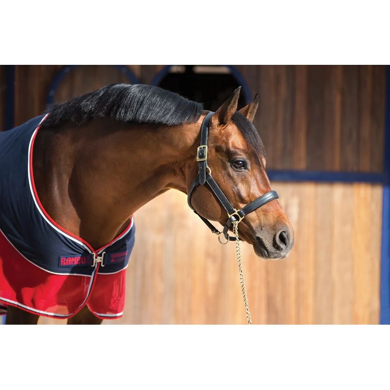 Rambo Sport Cooler - Navy/Red/Grey 1 Rambo Sport Cooler - Navy/Red/Grey