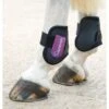 Shires ARMA Fetlock Boots - Black/Plum