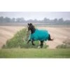 Shires Tempest Plus 200G Turnout - Teal