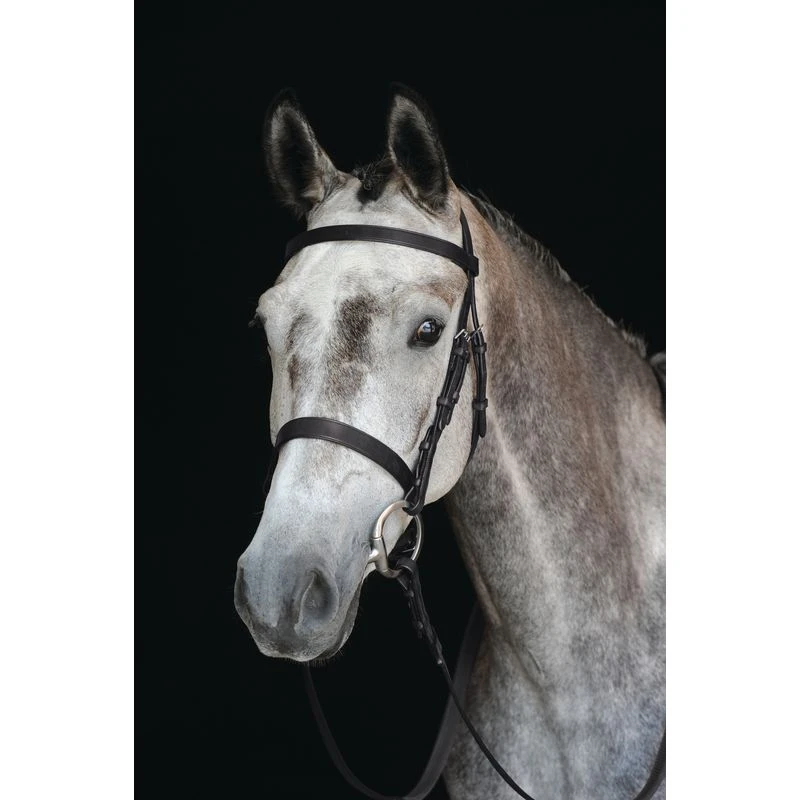 Collegiate Hunt Cavesson Bridle IV - Brown 1 Collegiate Hunt Cavesson Bridle IV - Brown
