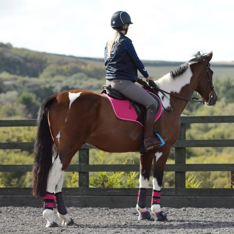 Woof Wear Sport Brushing Boot - Black/Berry 1 Woof Wear Sport Brushing Boot - Black/Berry