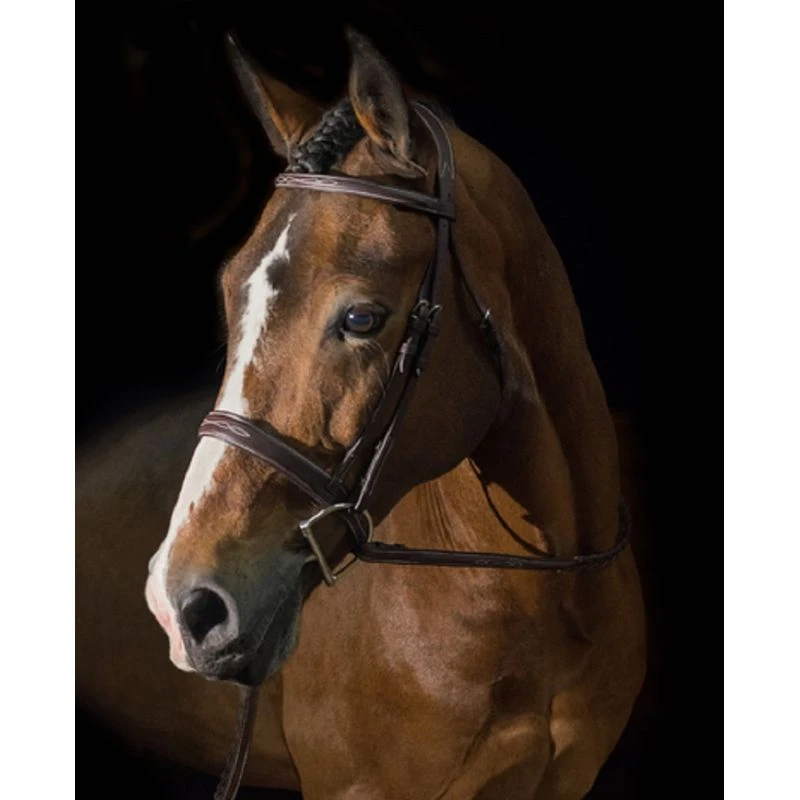 Pessoa PRO Fancy Stitched Wide Noseband Bridle - Dark Brown 1 Pessoa PRO Fancy Stitched Wide Noseband Bridle - Dark Brown