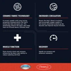 Weatherbeeta Comfitec Premier With Therapy-Tec Detach-A-Neck Medium - Black/Silver/Red -Tackof The Day Shop 346759 800 800