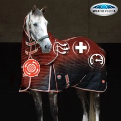 Weatherbeeta Comfitec Premier With Therapy-Tec Detach-A-Neck Medium - Black/Silver/Red -Tackof The Day Shop 346760 800 800