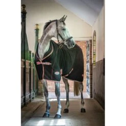 Weatherbeeta Therapy-Tec Fleece Standard Neck - Black/Silver/Red