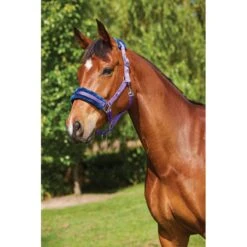 Saxon Element Fleece Headcollar - Purple/Navy