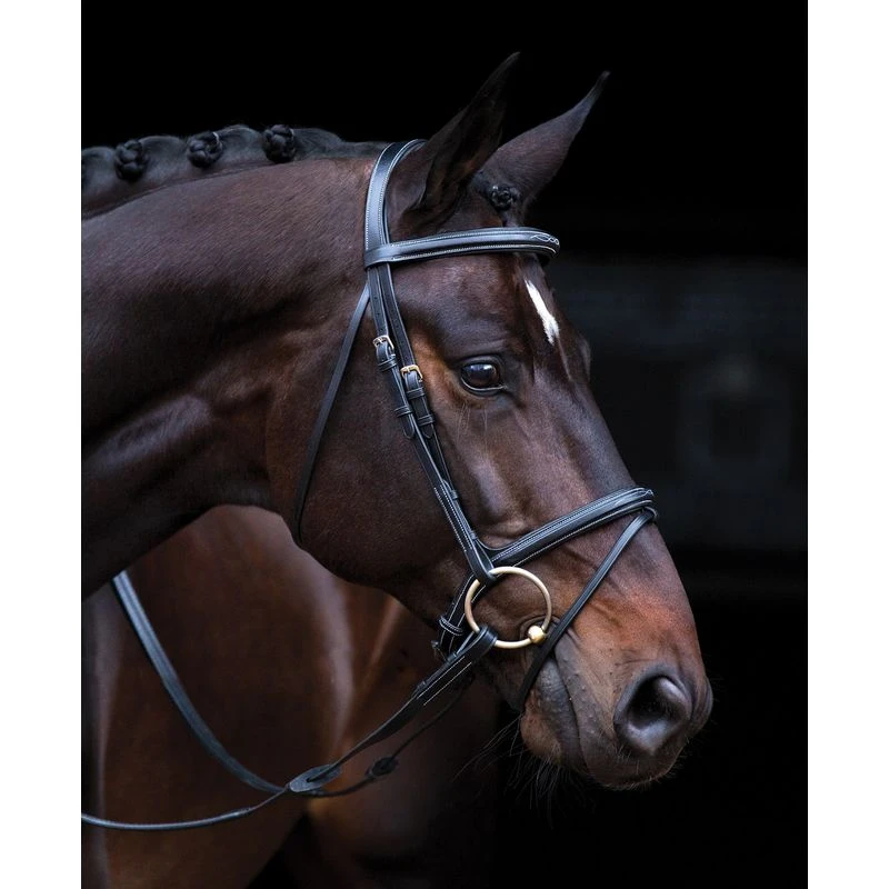 Amigo Deluxe Bridle - Black 1 Amigo Deluxe Bridle - Black
