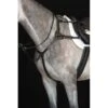 Collegiate 5-Point Breastplate IV - Black