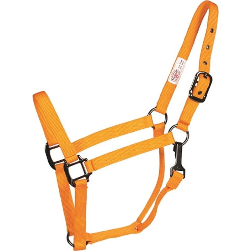 Western Rawhide SignatureFashion Halter W/Black Nickel Finish Hardware - Marigold 1 Western Rawhide SignatureFashion Halter W/Black Nickel Finish Hardware - Marigold