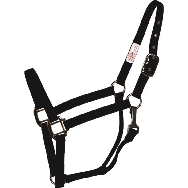 Western Rawhide SignatureFashion Halter W/Black Nickel Finish Hardware - Black 1 Western Rawhide SignatureFashion Halter W/Black Nickel Finish Hardware - Black