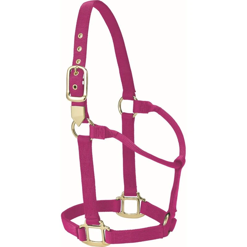 Western Rawhide Signature Classic Halter - Fuchsia 1 Western Rawhide Signature Classic Halter - Fuchsia