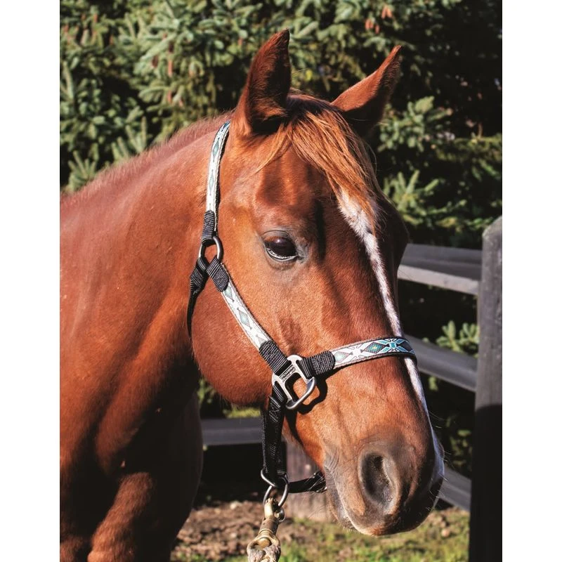 Western Rawhide Signature Pattern Halter - Black/Rhombus 2 Western Rawhide Signature Pattern Halter - Black/Rhombus - Image 2