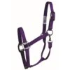 Western Rawhide SignatureFashion Halter W/Black Nickel Finish Hardware - Purple