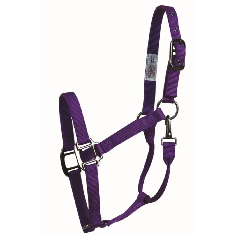 Western Rawhide SignatureFashion Halter W/Black Nickel Finish Hardware - Purple 1 Western Rawhide SignatureFashion Halter W/Black Nickel Finish Hardware - Purple