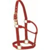 Western Rawhide Signature Classic Halter - Red