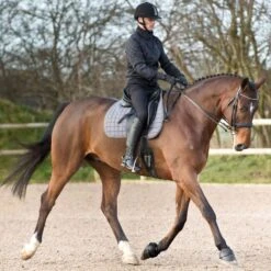 Horze Anti Twist Lock-On Bell Boots - Black -Tackof The Day Shop 375306 800 800