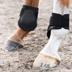 Horze Fetlock Boots - Black -Tackof The Day Shop 378173 800 800