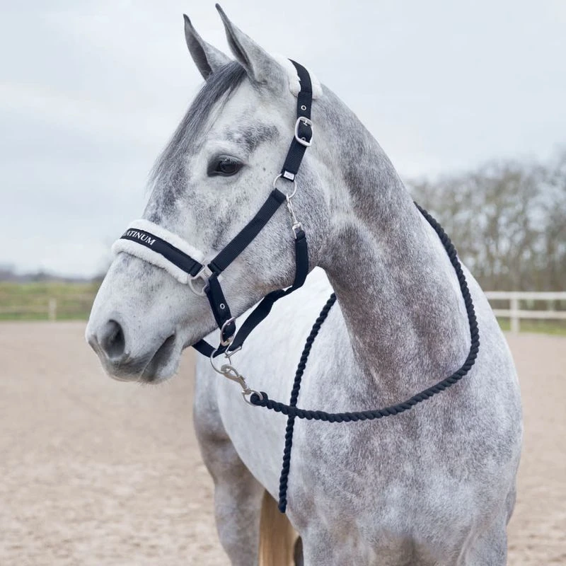 Horze Howard Soft Lead - Peacoat Dark Blue 2 Horze Howard Soft Lead - Peacoat Dark Blue - Image 2