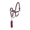 Horze Chicago Halter And Lead Rope - Wine Red/Violet Quartz Purple