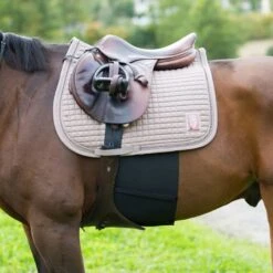 Horze Elastic Belly Guard - Black -Tackof The Day Shop 387350 800 800