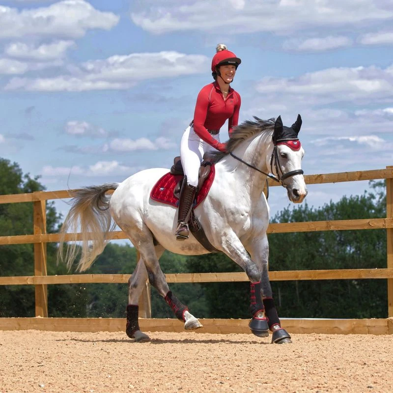 Woof Wear Training Wrap - Black/Shiraz 2 Woof Wear Training Wrap - Black/Shiraz - Image 2