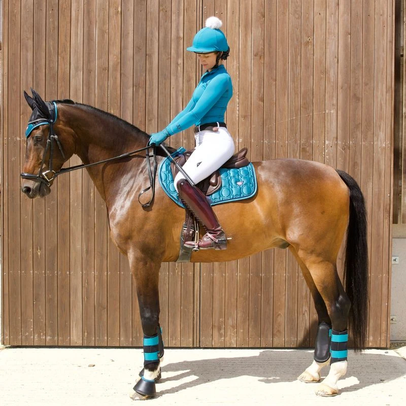 Woof Wear Vision Ergonomic Ear Net - Black/Ocean 2 Woof Wear Vision Ergonomic Ear Net - Black/Ocean - Image 2