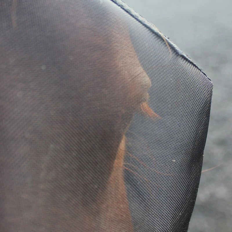 Woof Wear UV Fly Mask W/o Ears - Black/Blue 2 Woof Wear UV Fly Mask W/o Ears - Black/Blue - Image 2