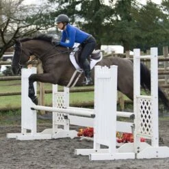 T3 TechQuilt Stay Dry Sport Pad - White