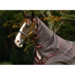 Amigo 1200D Hood 150g - Brown/Red/Gold/Red