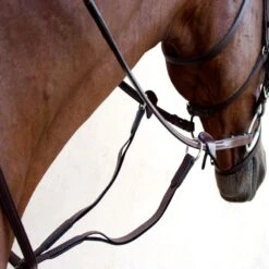 Nunn Finer Running Martingale With Elastic - Havana/Zinc -Tackof The Day Shop 402461 800 800