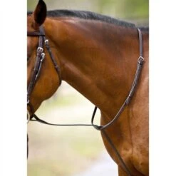 Nunn Finer Standing Martingale - Black/Zinc 5 Nunn Finer Standing Martingale - Black/Zinc -Tackof The Day Shop 402577 800 800