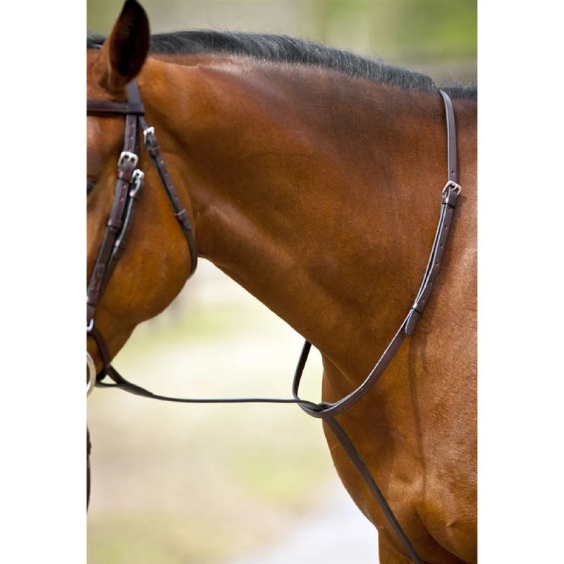 Nunn Finer Standing Martingale - Havana/Brass 2 Nunn Finer Standing Martingale - Havana/Brass - Image 2