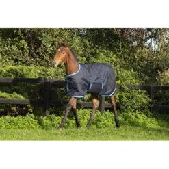 Amigo Foal Ripstock Turnout 200g - Navy/Electric Blue/Navy