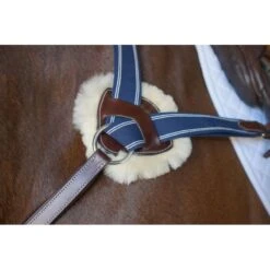 Nunn Finer 5-Way Breastplate With Blue Elastic - Havana/Zinc 5 Nunn Finer 5-Way Breastplate With Blue Elastic - Havana/Zinc -Tackof The Day Shop 404255 800 800