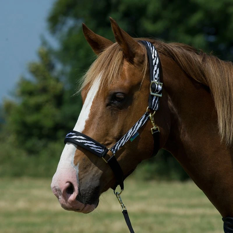 Bucas Dublin Halter - Zebra 1 Bucas Dublin Halter - Zebra