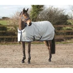 Bucas Power Light Classic Turnout - Silver/Navy