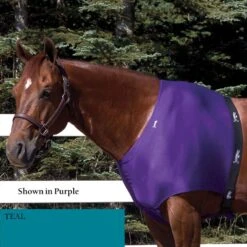 Jammies Designer Shoulder Guard - Teal