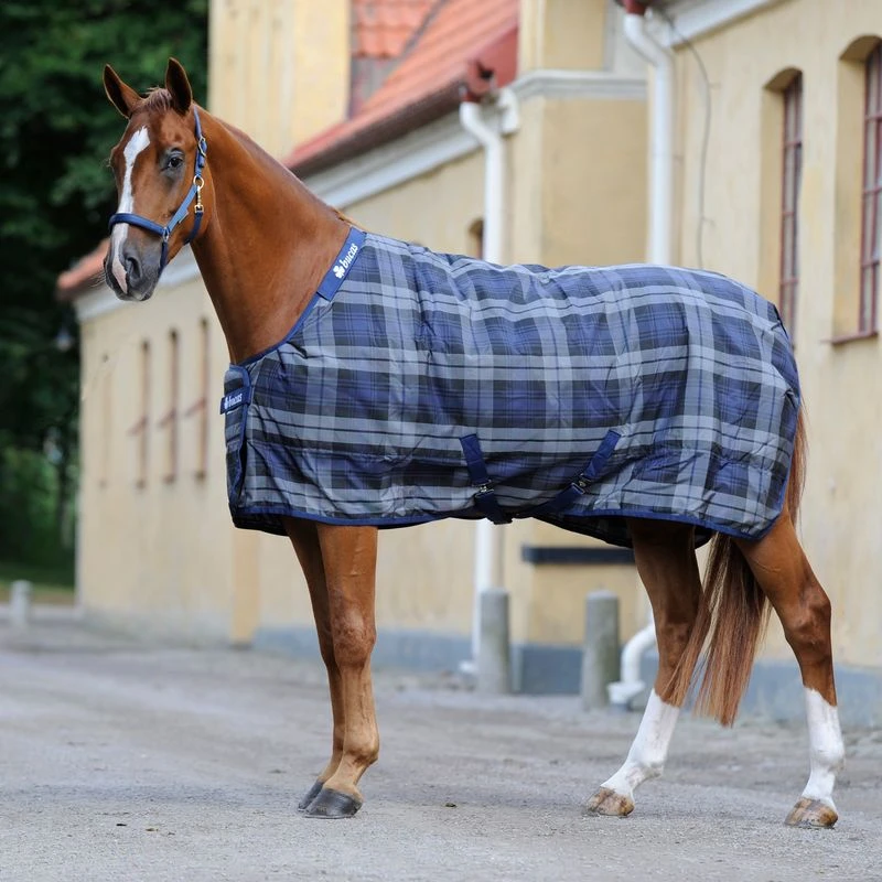 Bucas Celtic Stable Rug Medium - Tartan Plaid 1 Bucas Celtic Stable Rug Medium - Tartan Plaid