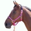 Shires Topaz Leather Breakaway Nylon Halter - Raspberry