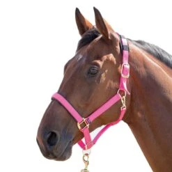 Shires Topaz Leather Breakaway Nylon Halter - Pink