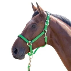 Shires Topaz Leather Breakaway Nylon Halter - Green