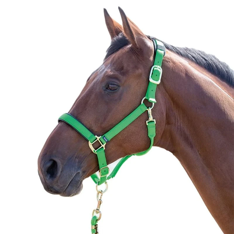 Shires Topaz Leather Breakaway Nylon Halter - Green 1 Shires Topaz Leather Breakaway Nylon Halter - Green