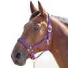 Shires Topaz Leather Breakaway Nylon Halter - Purple