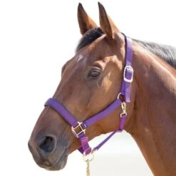 Shires Topaz Leather Breakaway Nylon Halter - Purple