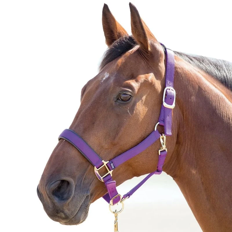 Shires Topaz Leather Breakaway Nylon Halter - Purple 1 Shires Topaz Leather Breakaway Nylon Halter - Purple