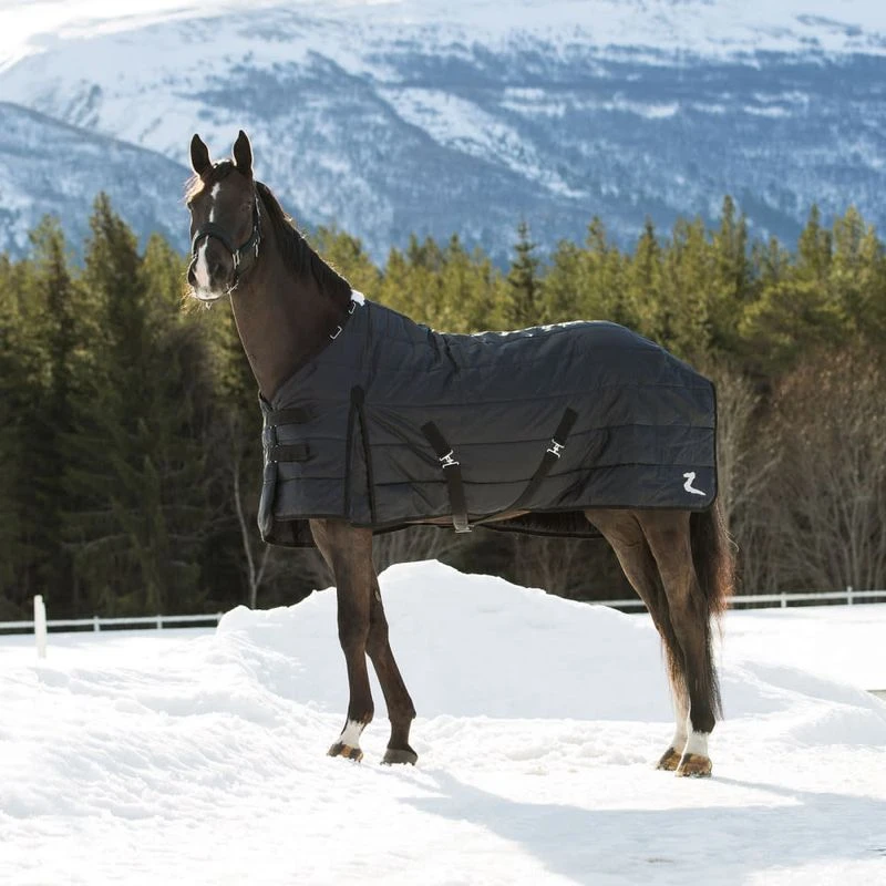 Horze Nevada Heavy Weight Stable Blanket 400g - Black 1 Horze Nevada Heavy Weight Stable Blanket 400g - Black