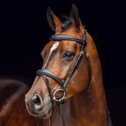 Horze Sion Bridle W/Reins - Black -Tackof The Day Shop 417686 800 800