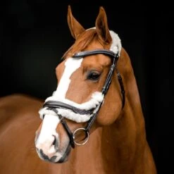 Horze Rome Snaffle Bridle - Dark Brown -Tackof The Day Shop 417824 800 800